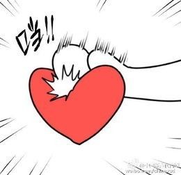 超市里卖的牛奶哪种最好,超市买的豆奶粉哪种好