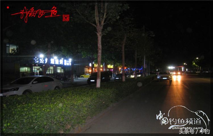 蝙蝠老是来屋里怎么赶走,蝙蝠来屋里怎么办