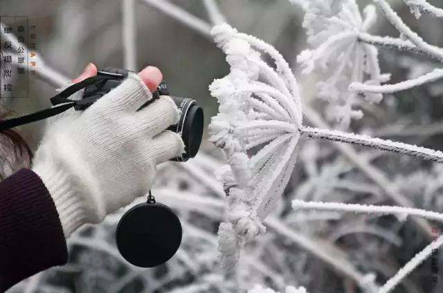 不知道相机哪里出了问题,相机保养方法和注意事项