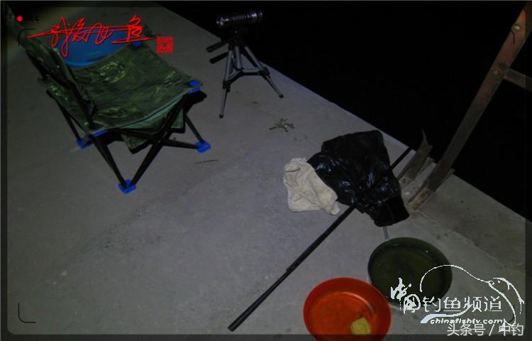 蝙蝠老是来屋里怎么赶走,蝙蝠来屋里怎么办