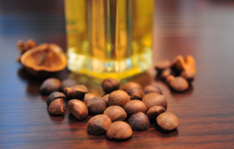 来肇庆端州旅游去哪玩,去肇庆市旅游带什么手信