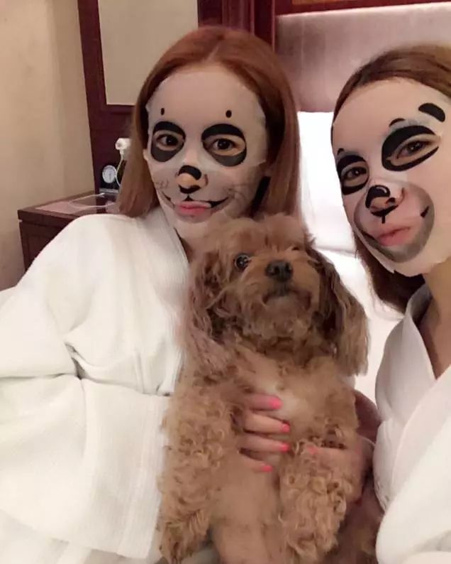 在家敷了片面膜，被狗子看到后，竟被...