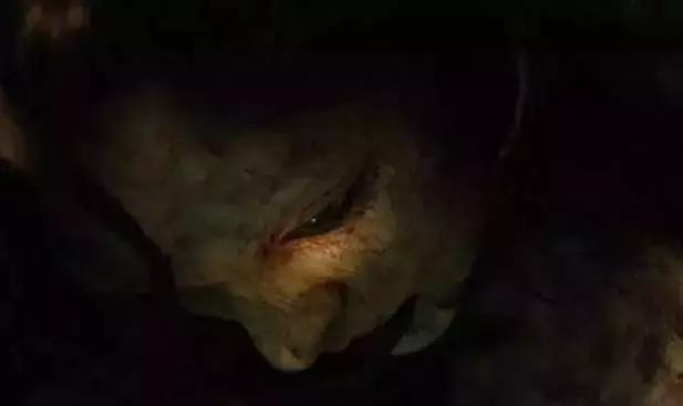 日本武士剥了百人的*皮人**，只为将木偶变成儿子，最后惨遭灭门报应