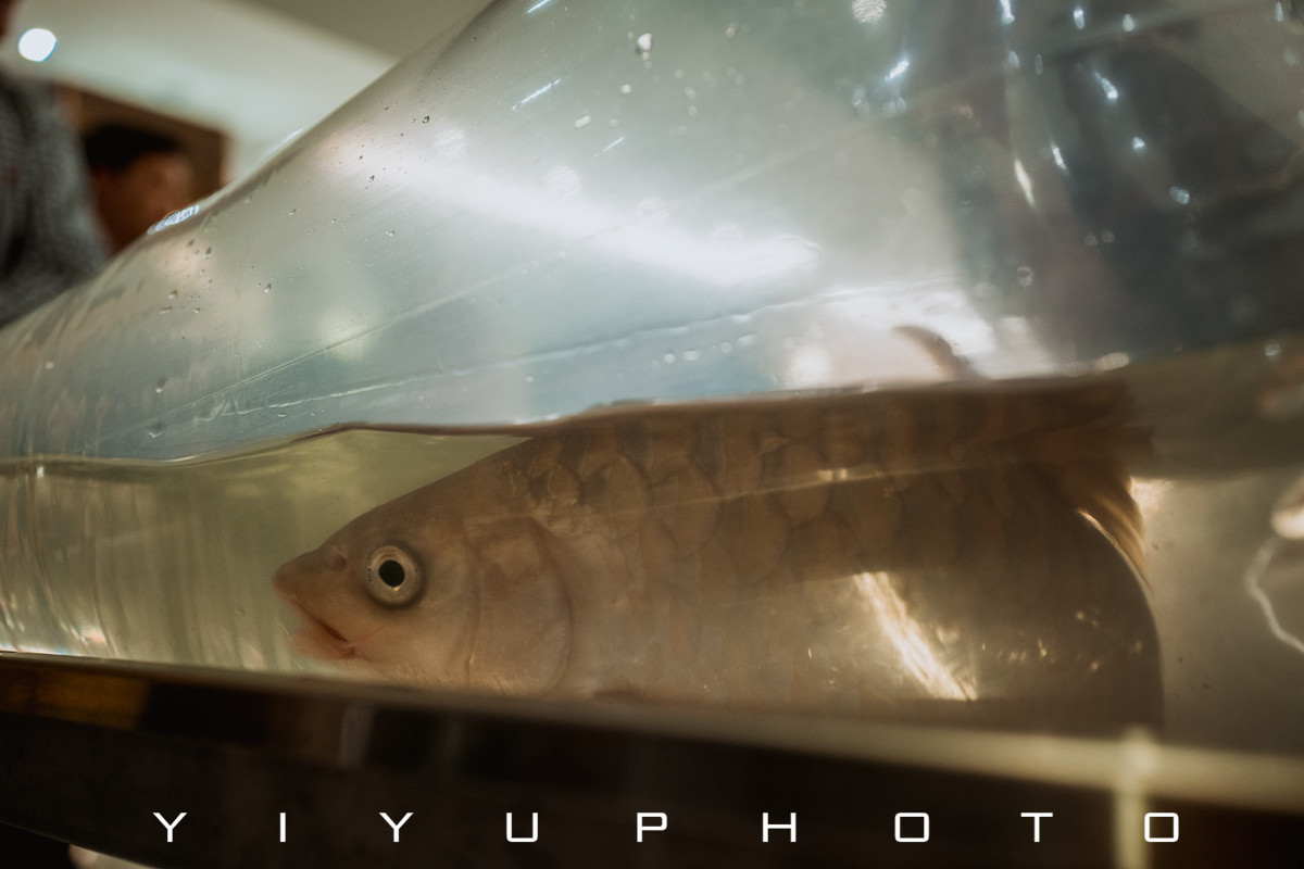 悠游一夏,马来西亚——六日自由行攻略