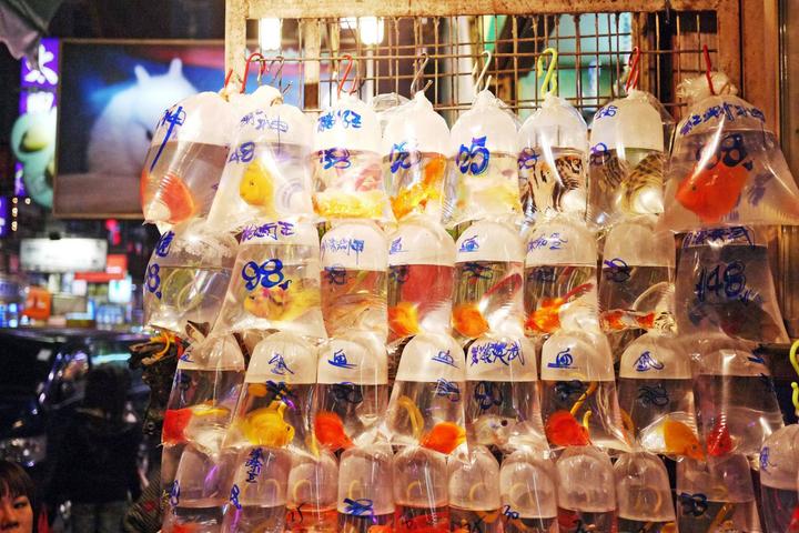 如何玩透众包,如何玩透一款游戏