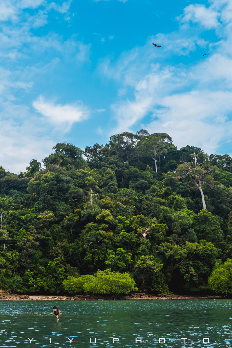 悠游一夏,马来西亚——六日自由行攻略