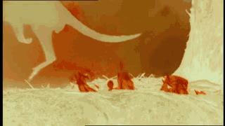 澳大利亚吉祥物袋鼠,澳大利亚的袋鼠伤人事件