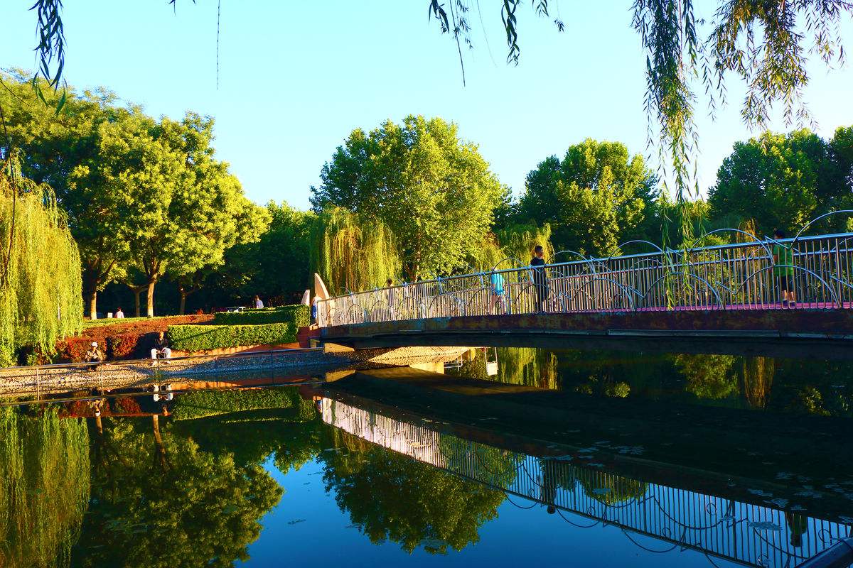 上海地铁9号线延伸段站点,上海地铁9号线延伸金山