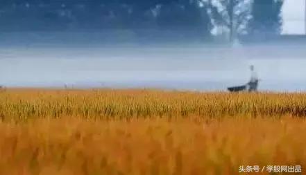 大盘跌为什么银行股上涨,银行股护盘释放的信号