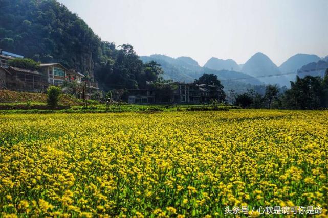 坝美世外桃源简介,坝美世外桃源旅游怎么样
