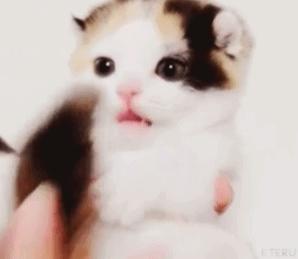 自家装修预算干货,快速做家装预算方法