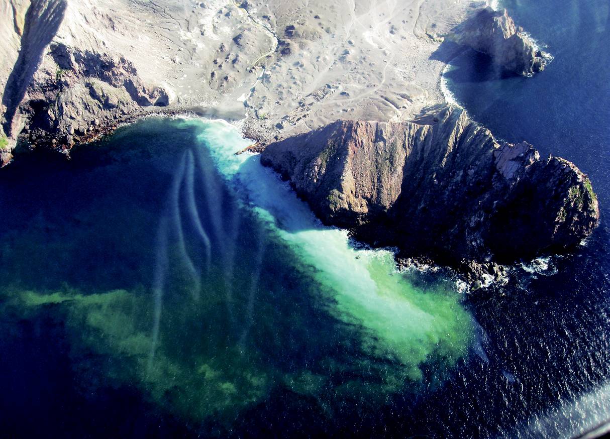 在新西兰我连吃两顿杭伊，还和毛利武士干了一架|出发吧