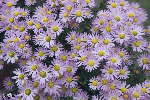 辰龙人:12月会有百年难遇的“大事”,再不准备可就“完”了!