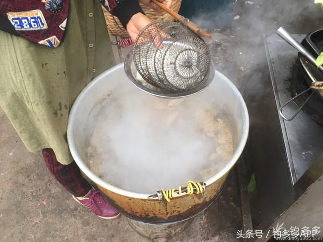 奔横县只为巴西雕，遇降温无奈成掐鲤