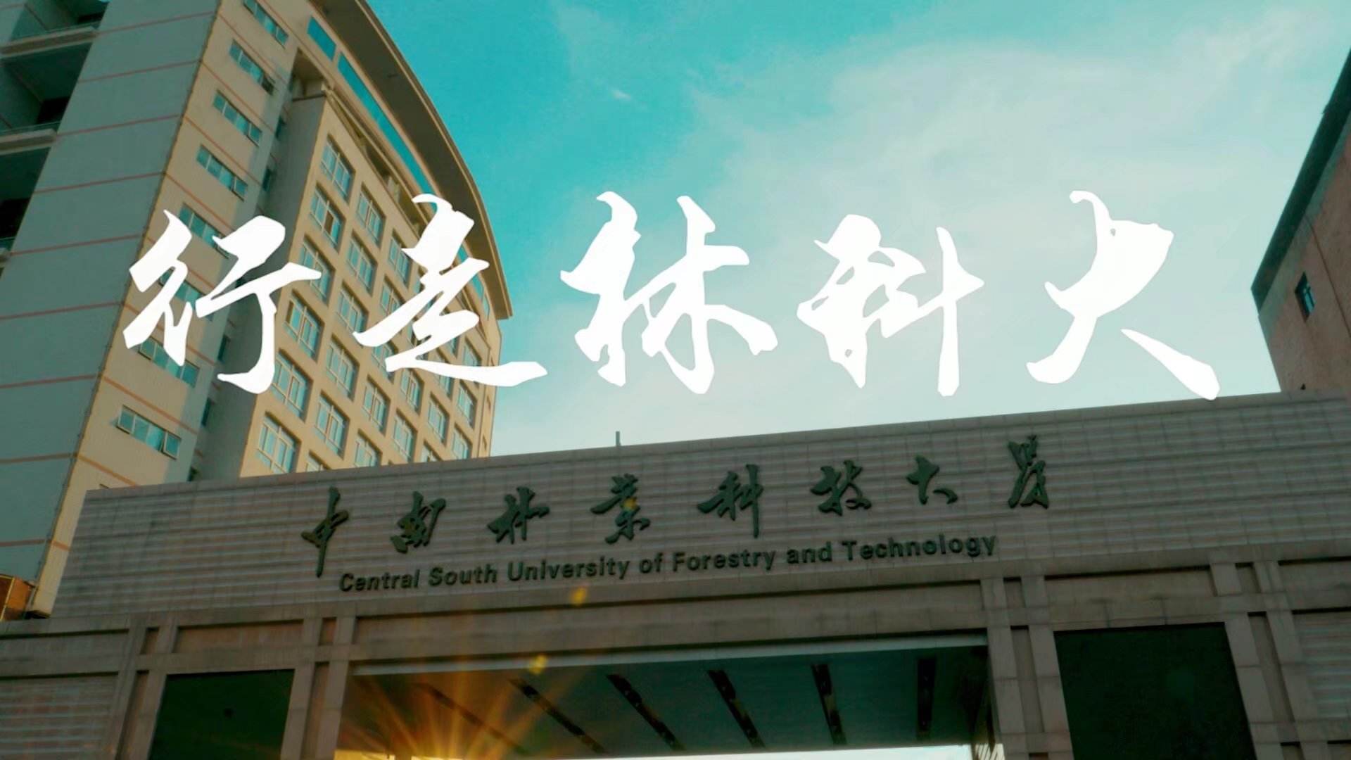 献给你，光影中的林科大