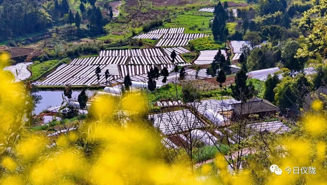 一座幸福感爆棚的滨江小城,一座山清水秀的幸福小城