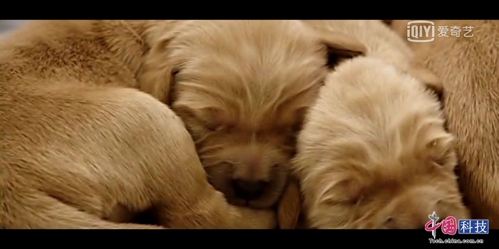 荣耀畅玩7x的上一代手机,荣耀畅玩7x新机测评