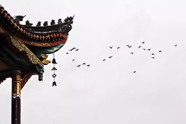 遇见会理|厉害!会理古城登上《华西都市报》占整版篇幅!