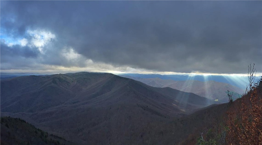 豆瓣日记完整版,豆瓣日记茉莉