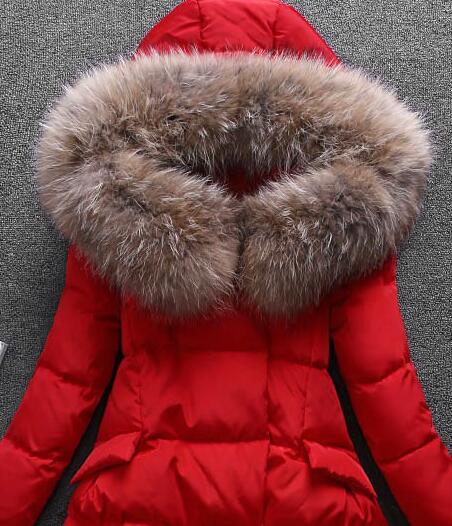 羽绒服没有毛领怎么加毛领上去,羽绒服的毛领怎么洗得蓬松