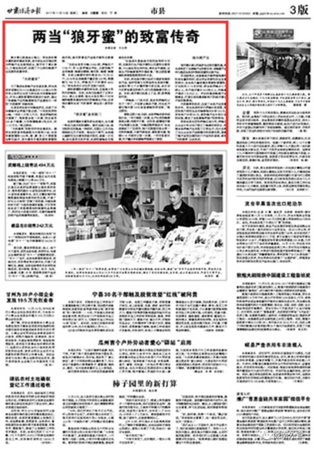 陇南433发展战略,陇南两当狼牙蜜宣传片