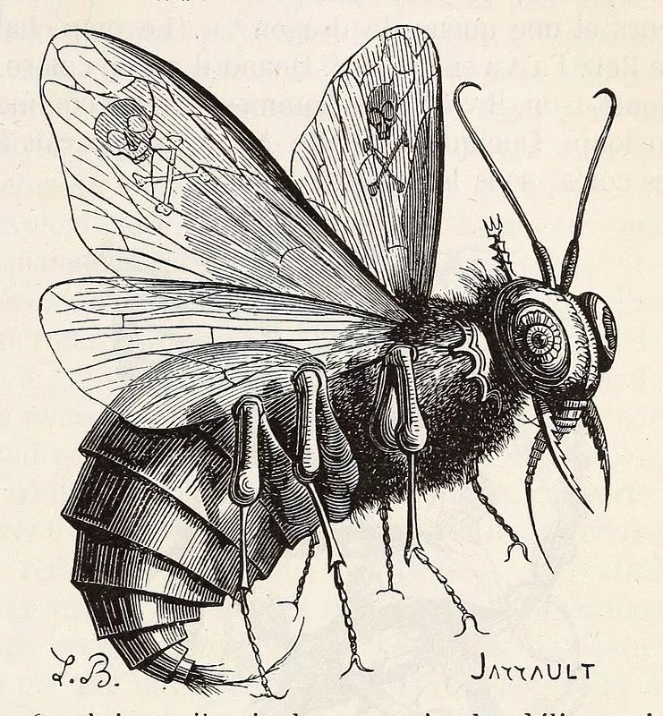 当我们谈论死亡与生命,当我们谈论死亡时我们在谈论什么