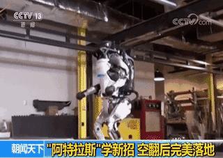 鸿雁知天下最新新闻,鸿雁知天下完整版