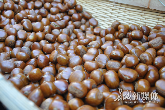 青龙板栗节开幕时间,板栗节青龙节视频