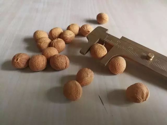 自制漂亮的桃核手串,三圈8mm手串diy制作