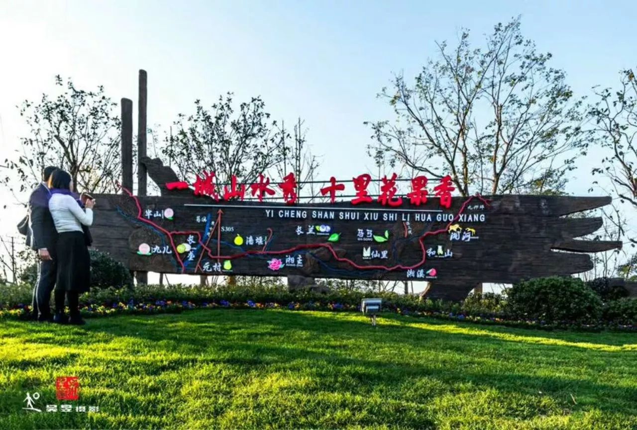 富阳金沙岛花海,富阳花海网红景点