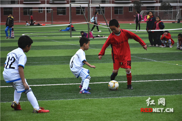 娄底足球俱乐部招人,娄底市足球队招聘