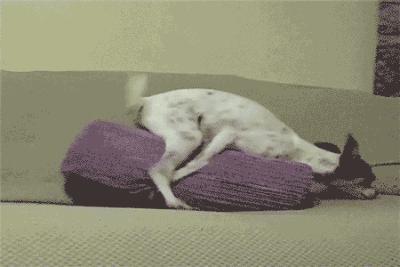 摩羯男变态占有欲,变态狂是天生的么