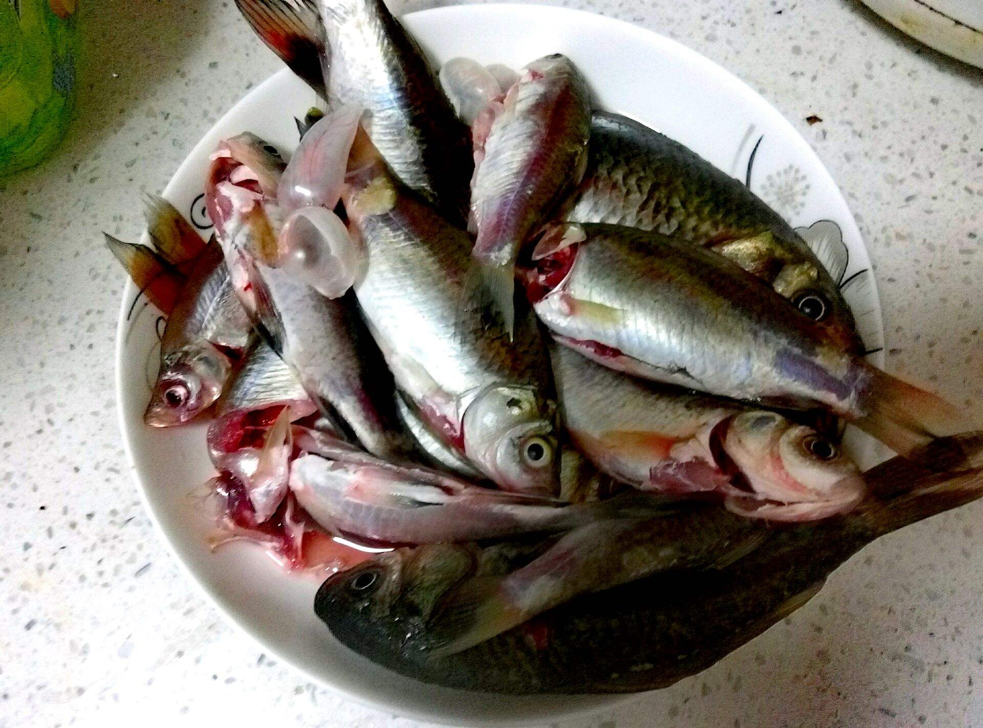 如何快速收拾河鱼,鱼怎么处理才干净又简单