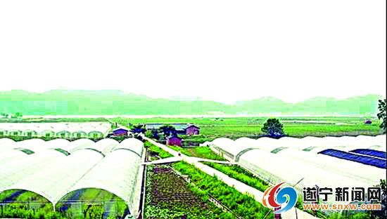 梧州生鲜电商运营模式,遂宁电商运营套餐