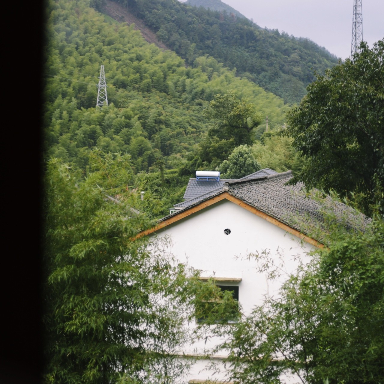 又到了动物们交配的季节，请站在宇宙中心用力呼唤爱！