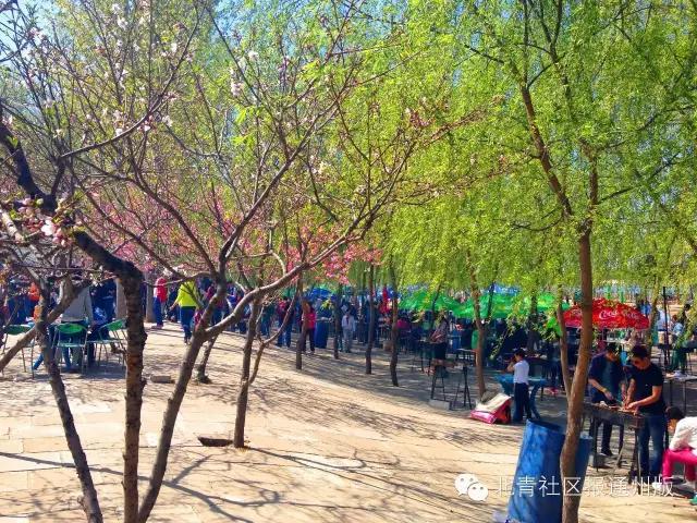 北京通州周边野外烧烤最佳地方,通州周边适合露天烧烤的地方
