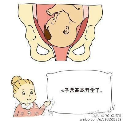 分娩子宫峡部变化,子宫颈细胞变化