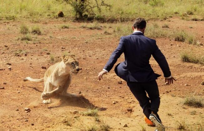 男子与三头狮子踢足球，名义上是保护动物，而真实原因竟是这！