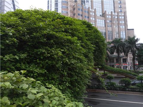 魅族pro6出现症状及维修,魅族pro6发热严重