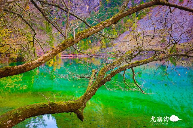 鍛宠暰娴佽繛蹇樿繑,鍛宠暰鐣欐亱