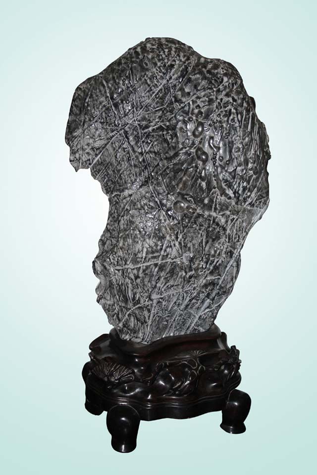 灵璧奇石珍珠,周寨灵璧珍珠石