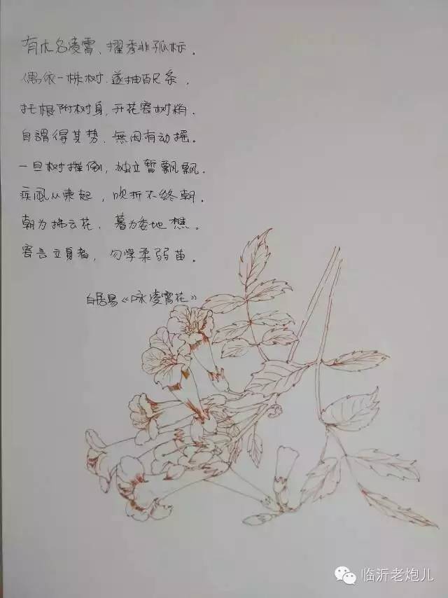 带着书本去旅行绘画,带着旅行箱去旅行绘画