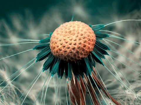 重心放在身边重要的人身上,不要把重心都放在一个女人身上