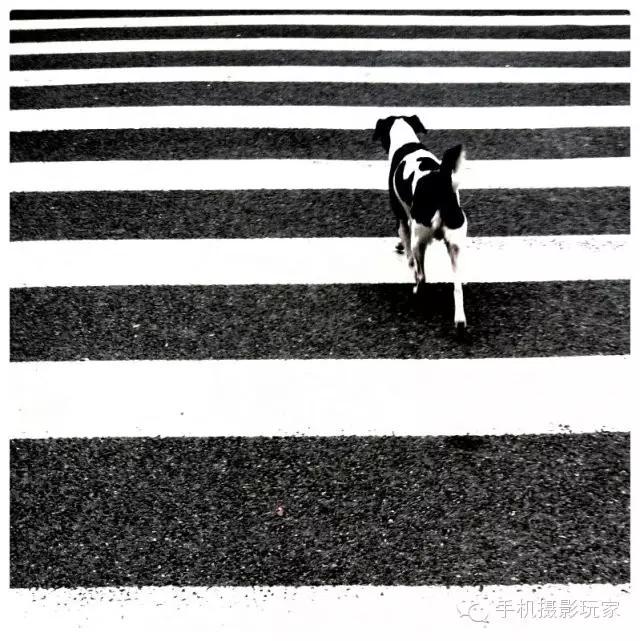 中国手机摄影图片大赛,爱微图