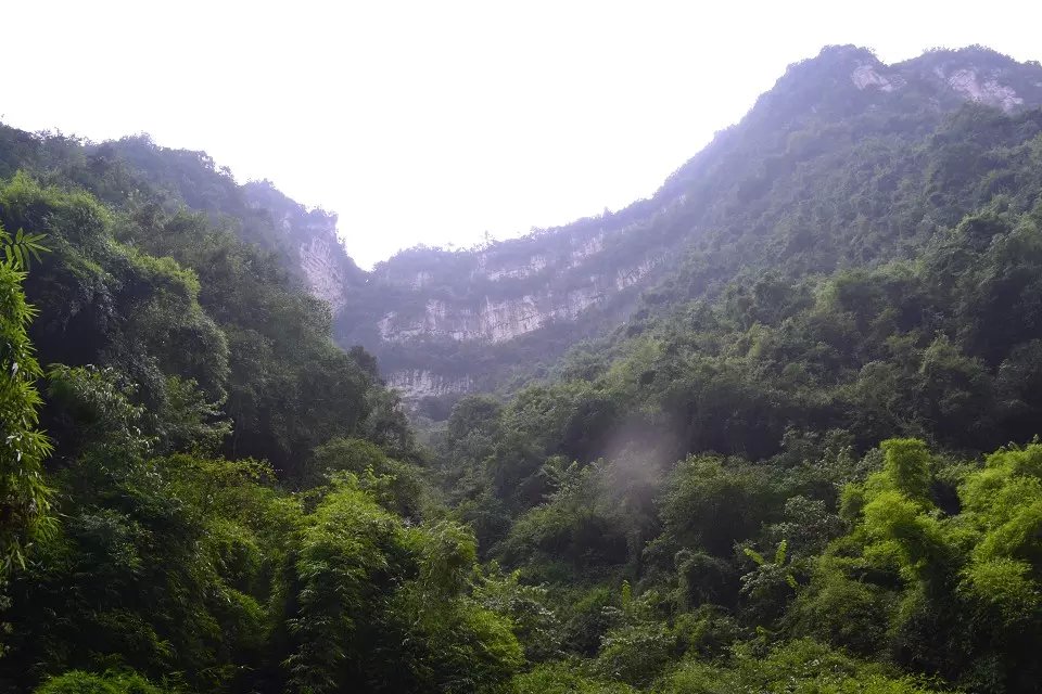 三峡人家路亚,三峡人家湖北文旅优惠多少