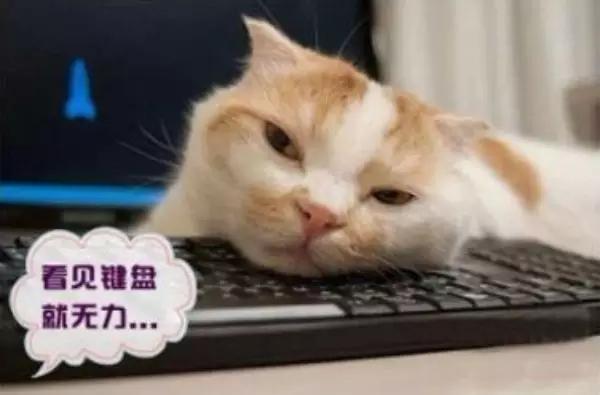 男朋友问化妆品多少钱怎么说,男朋友觉得化妆品200贵