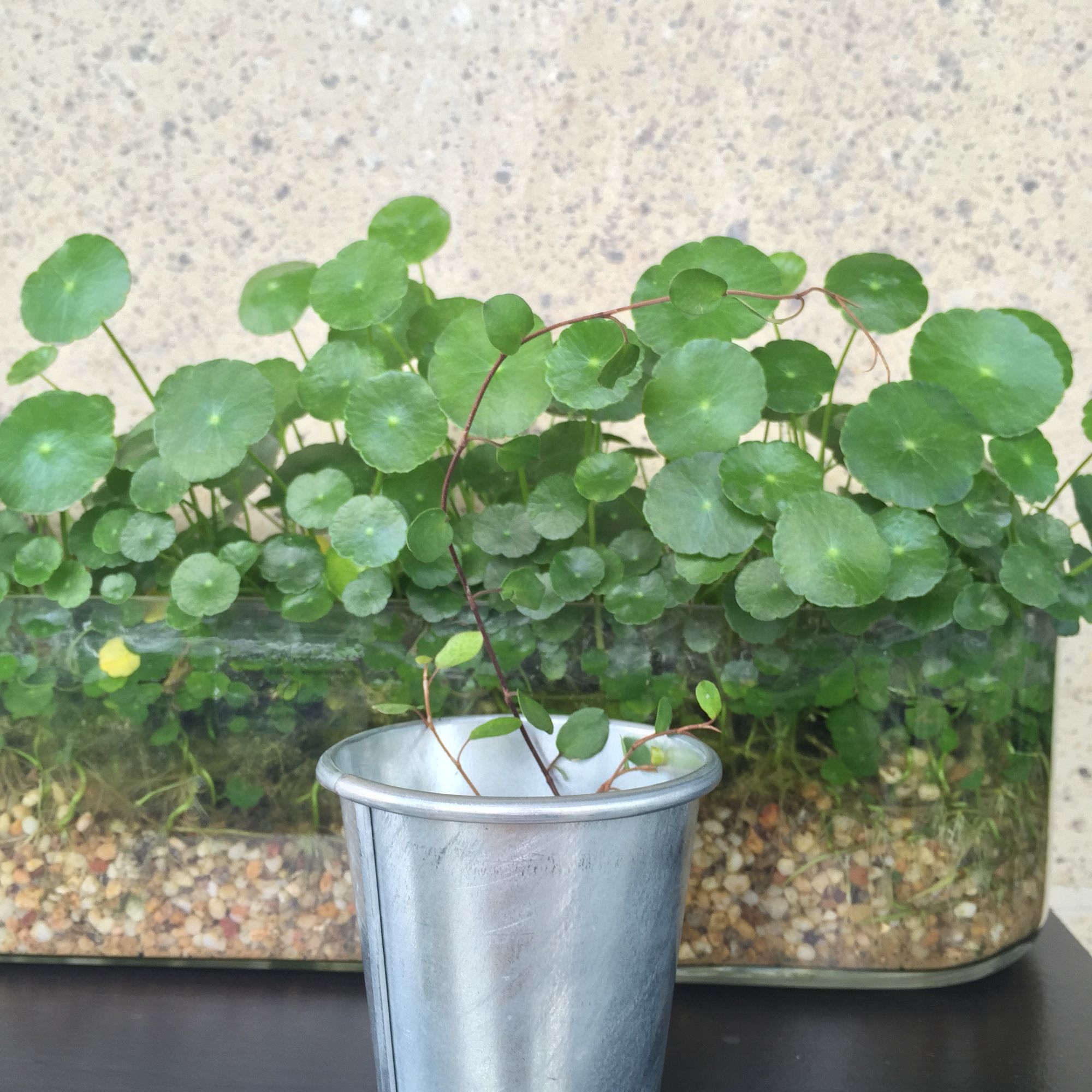 家庭工业装修风格,台式轻奢装修风格