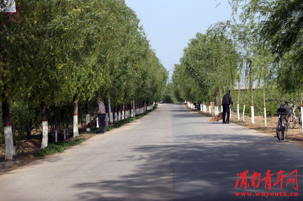 大荔县许庄镇美丽乡村,大荔县许庄镇全景图