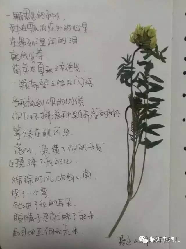 带上手鼓去旅行,带着旅行箱去旅行绘画