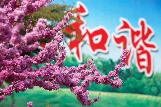 临淄:特色小镇的春天——金岭敬仲朱台齐陵